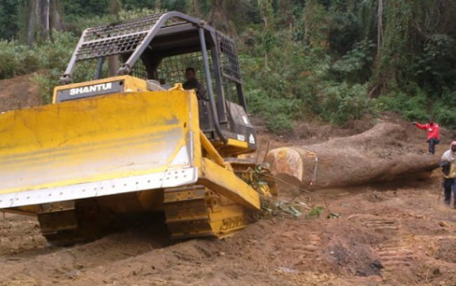 首页- Z6官网中国区人生就是博